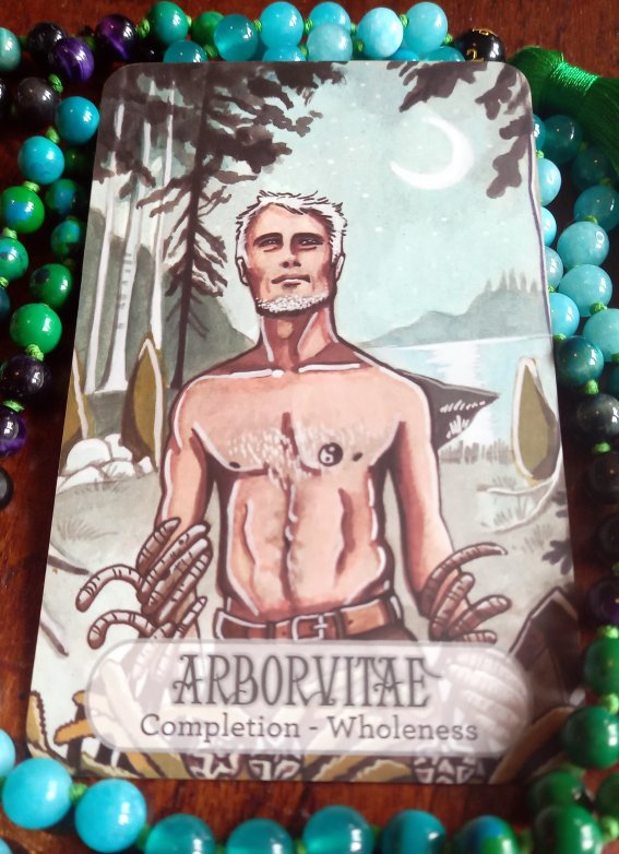 arborvitae