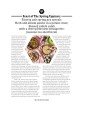 The Witch's Feast : A Kitchen Grimoire by Melissa Madara