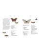 Home & Happiness Botanical Handbook by Pip Waller