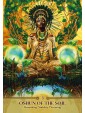 Faces of Oshun Oracle by Abiola Abrams