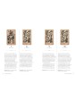 The Modern Tarot Reader by Claire Goodchild 