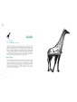 A-Z of Animal Symbolism by Thiago Bianchini & Aurore Pramil