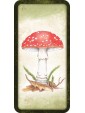 Mushroom Affirmations Mini Cards by Nicola McIntosh