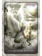 TeenAngel Oracle Cards by Rita Pietrosanto & Miki Okuda