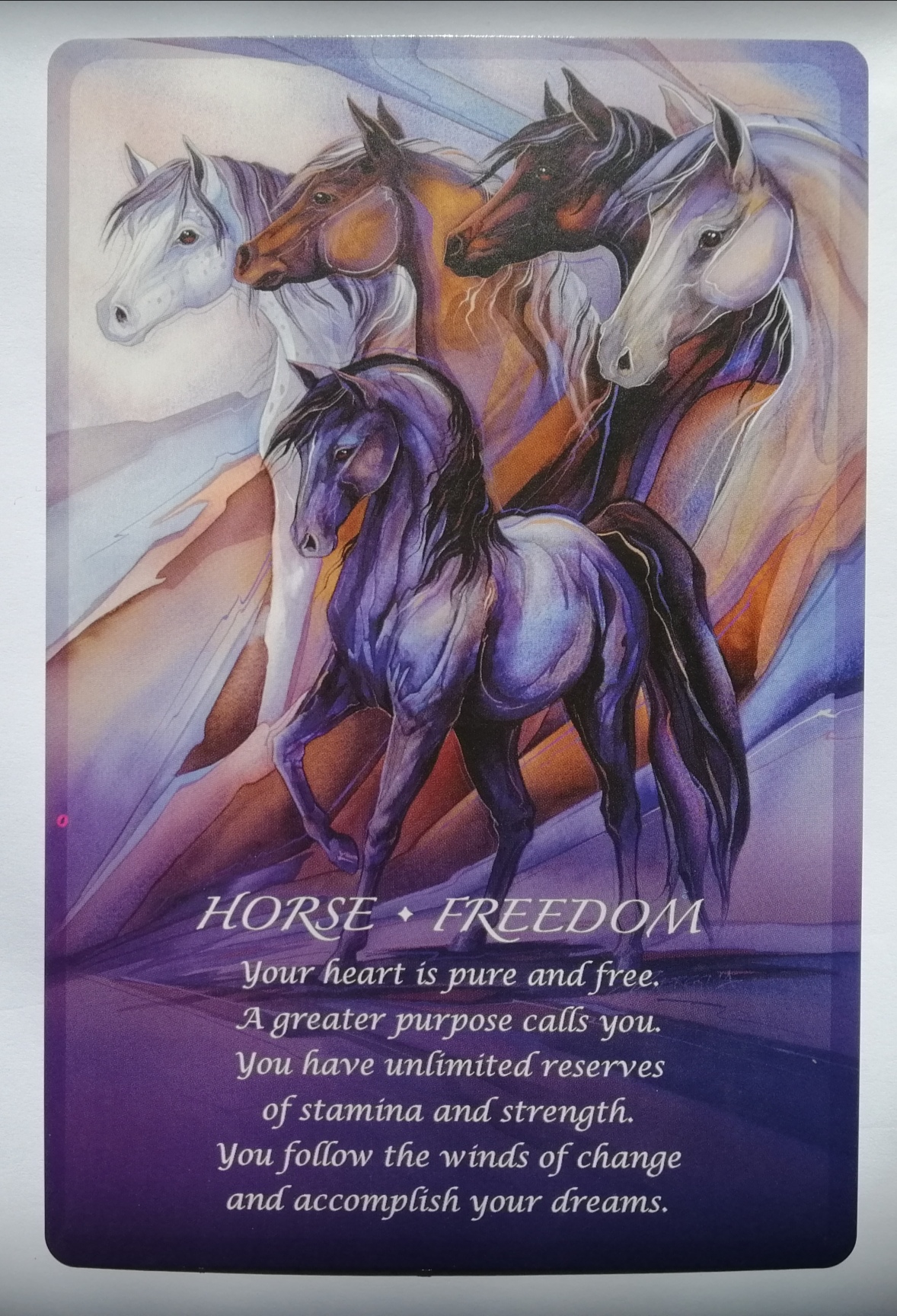 horse