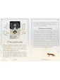 Seasons of the Witch Winter Tarot by Lorriane Anderson & Tijana Lukovic 